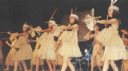 Carapachos